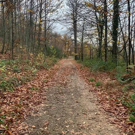 Σπίτι διακοπών El Encanto De Abadía