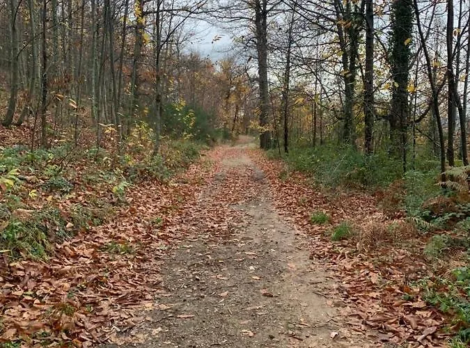 Hébergement de vacances El Encanto De Abadía