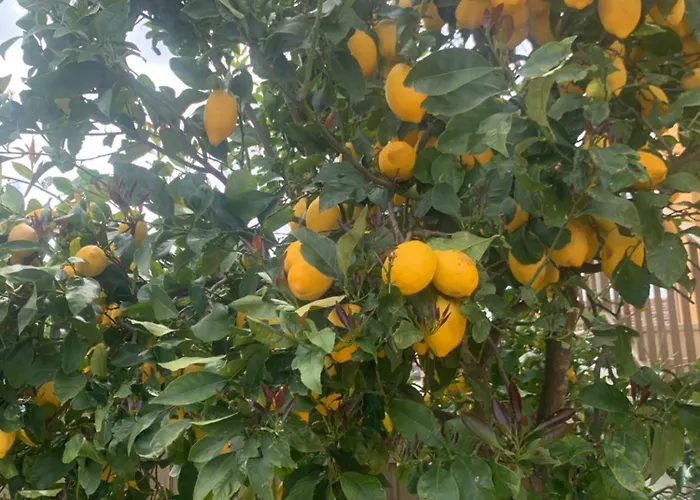 Hébergement de vacances El Encanto De *