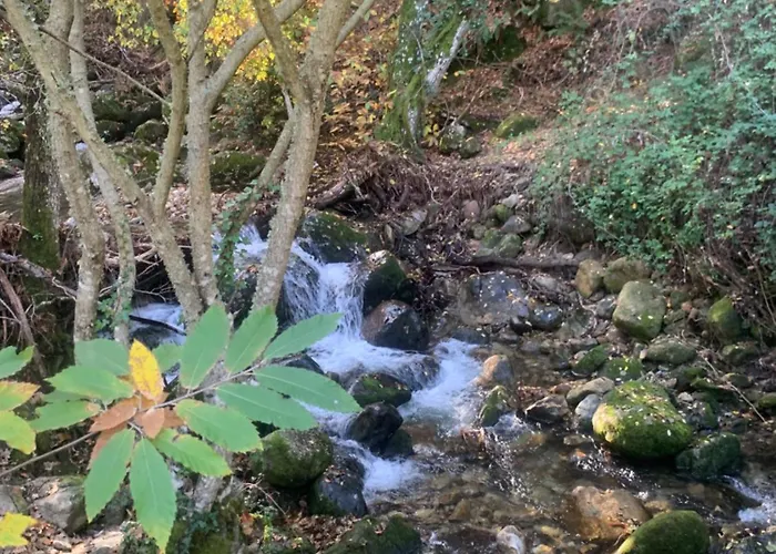 Hébergement de vacances El Encanto De *