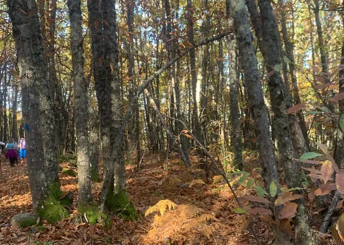 Hébergement de vacances El Encanto De Abadía